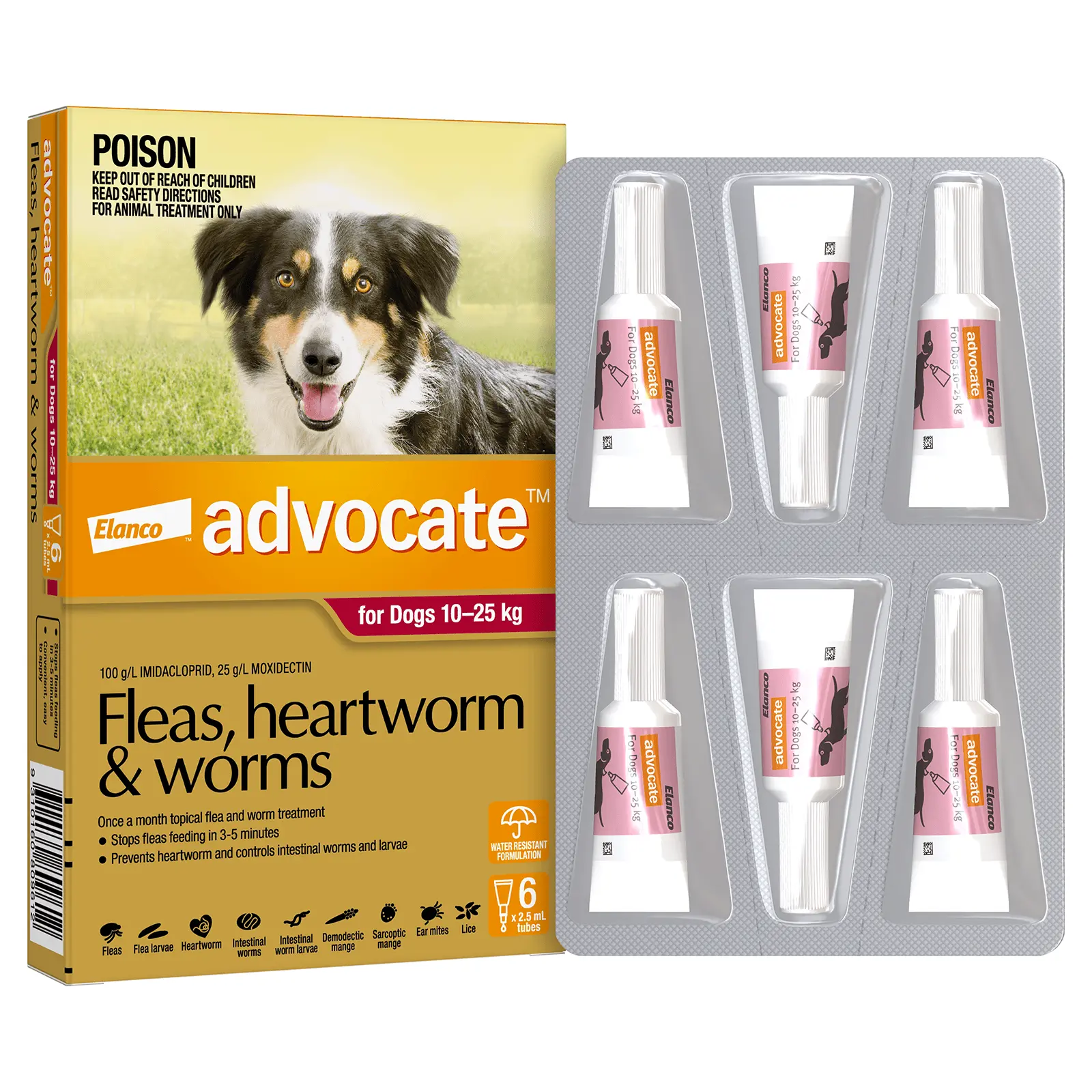 Advocate for Large Dogs Up to 10-25kg Red - Image 3
