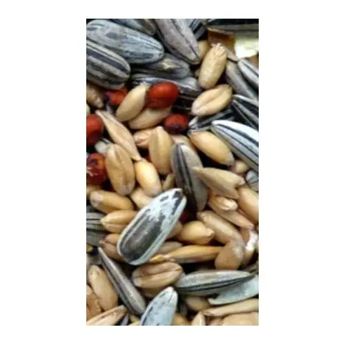 Avigrain Cocky Mix 20kg - Image 2