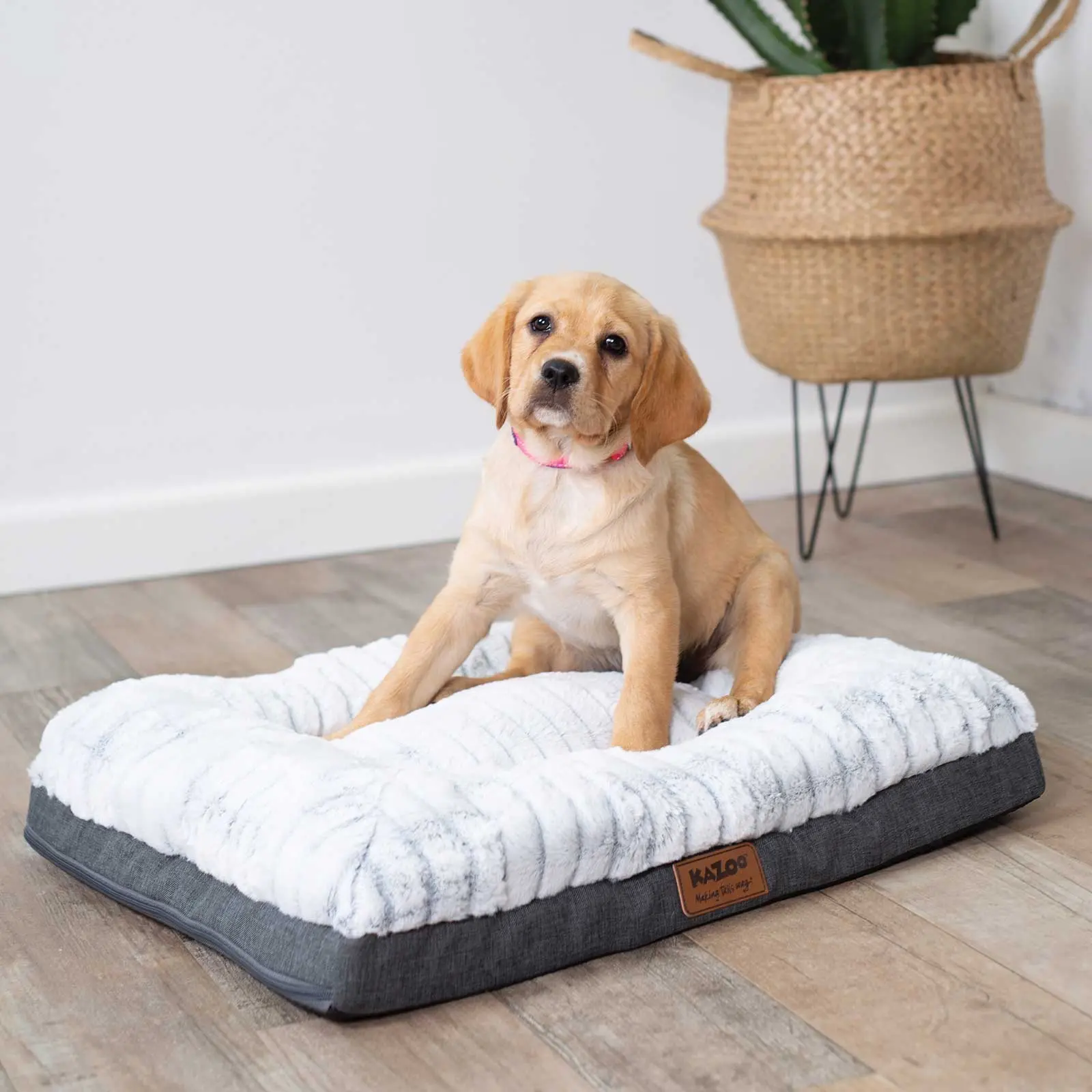 Kazoo Cloud Comfort Light Grey Dog Bed - Image 2