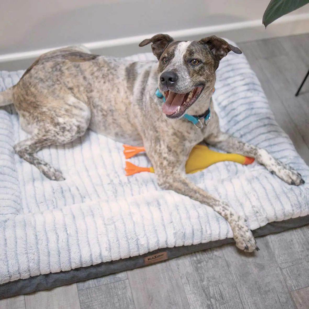 Kazoo Cloud Comfort Light Grey Dog Bed - Image 3