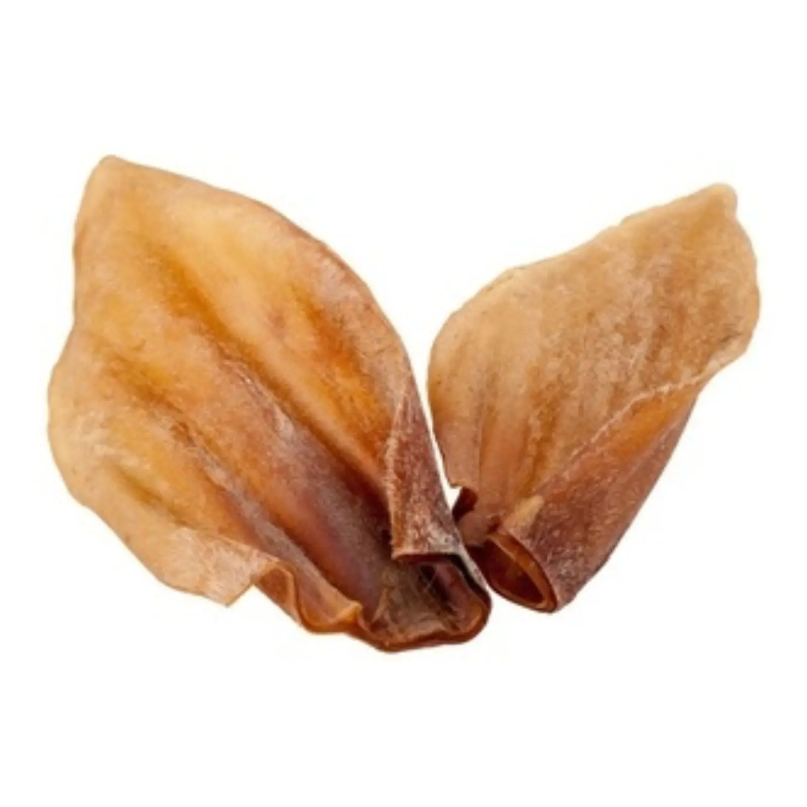 Black Dog Cow Ears - Single
