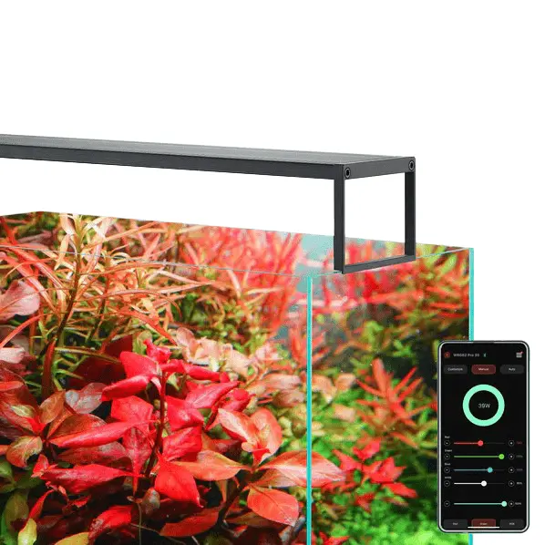 Chihiros WRGB II Slim LED Light - Image 3