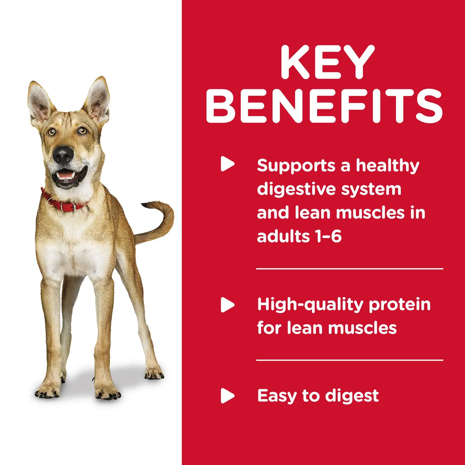 Hill's Science Diet Dog Food Can Adult Savoury Stew Beef & Vegetables - Image 4