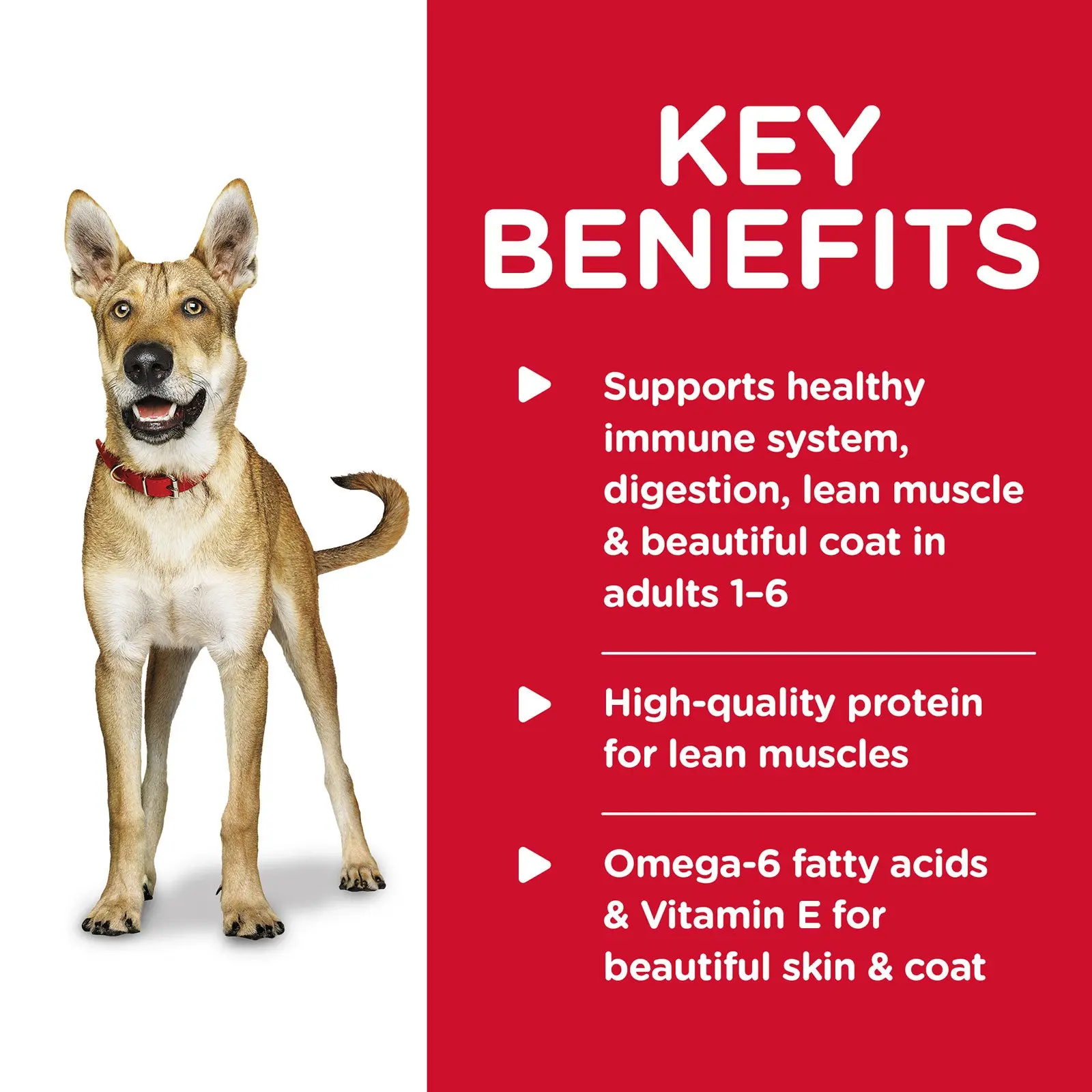 Hill's Science Diet Dog Food Can Adult Beef & Barley Entrée - Image 4