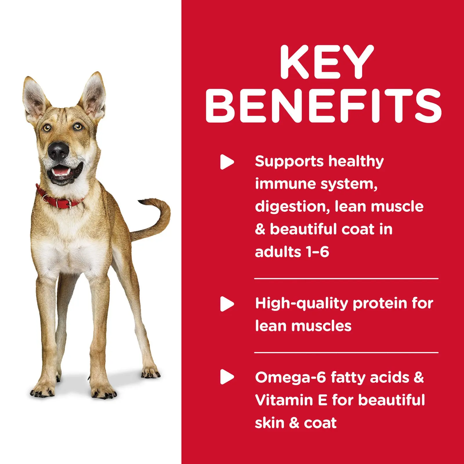 Hill's Science Diet Dog Food Can Adult Chicken & Barley Entrée - Image 4