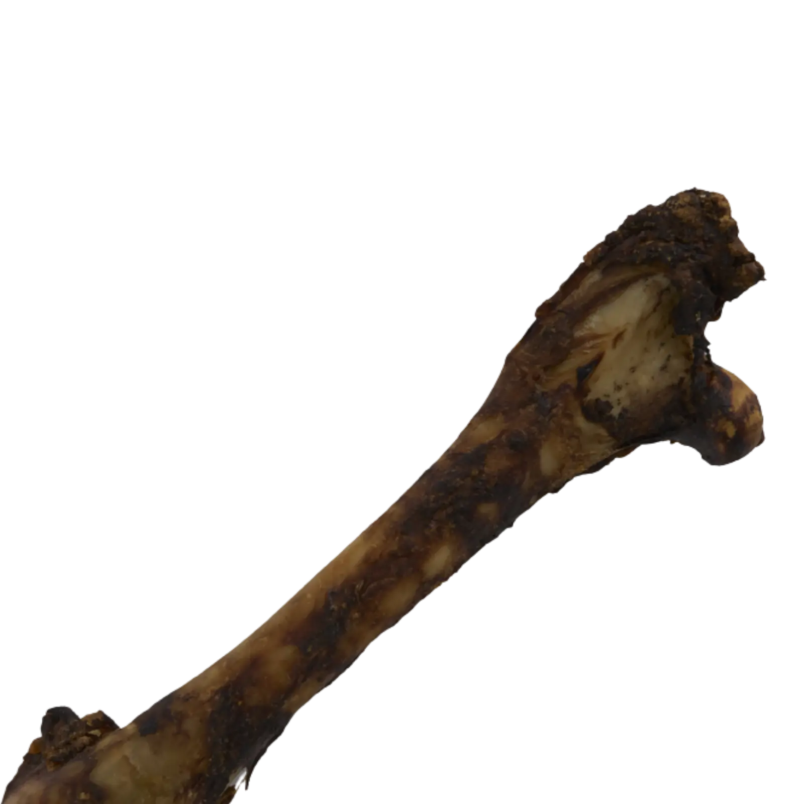 Kazoo Prime Cuts Kangaroo Shin Bone 1 Pack - Image 3