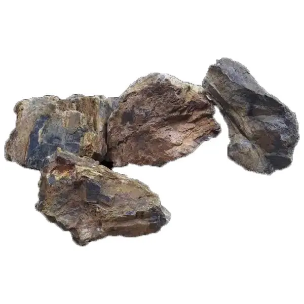 Natural Rock Petrified Wood PER KILO