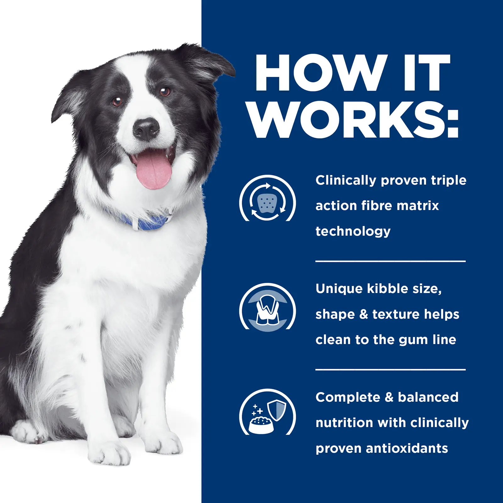 Hill's Prescription Diet Dog Food t/d Dental Care - Image 5