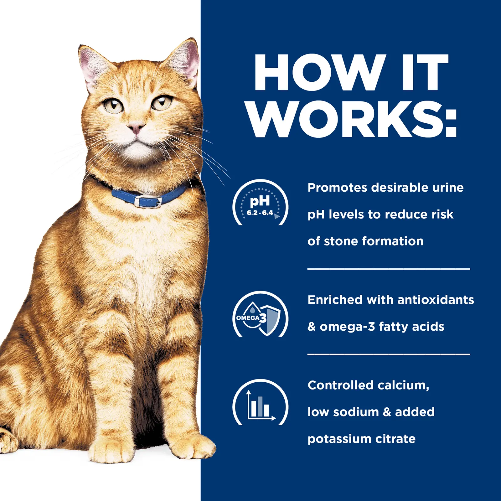 Hill's Prescription Diet Cat Food c/d Multicare Urinary Care - Image 4
