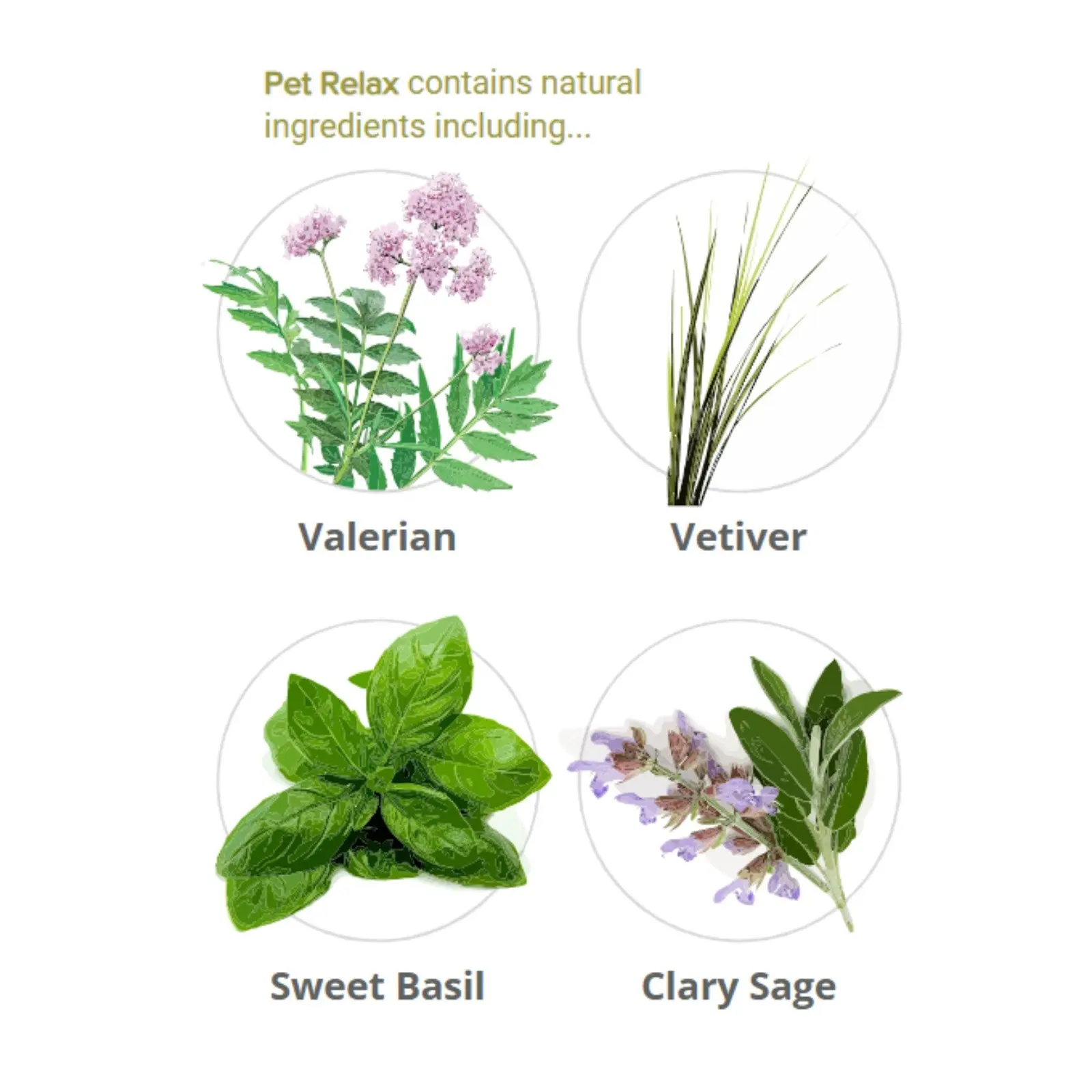 Pet Relax Diffuser Refill 2 x 40ml - Image 2