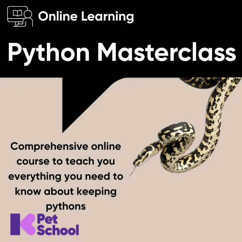 The Python Masterclass