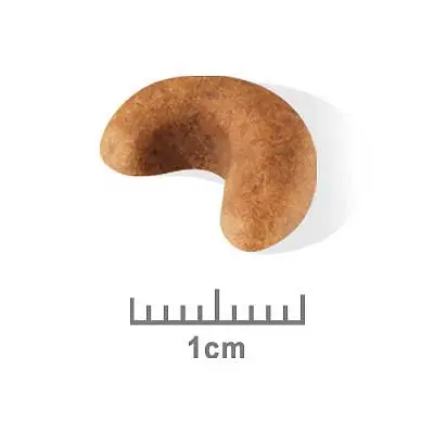 Royal Canin Dog Food Puppy Cocker Spaniel - Image 3