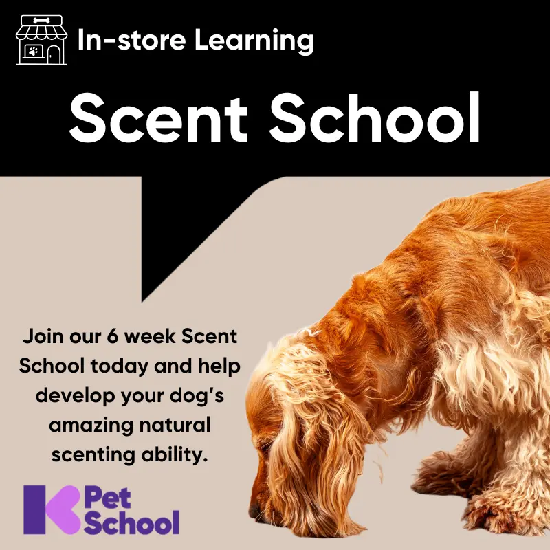 Scent School