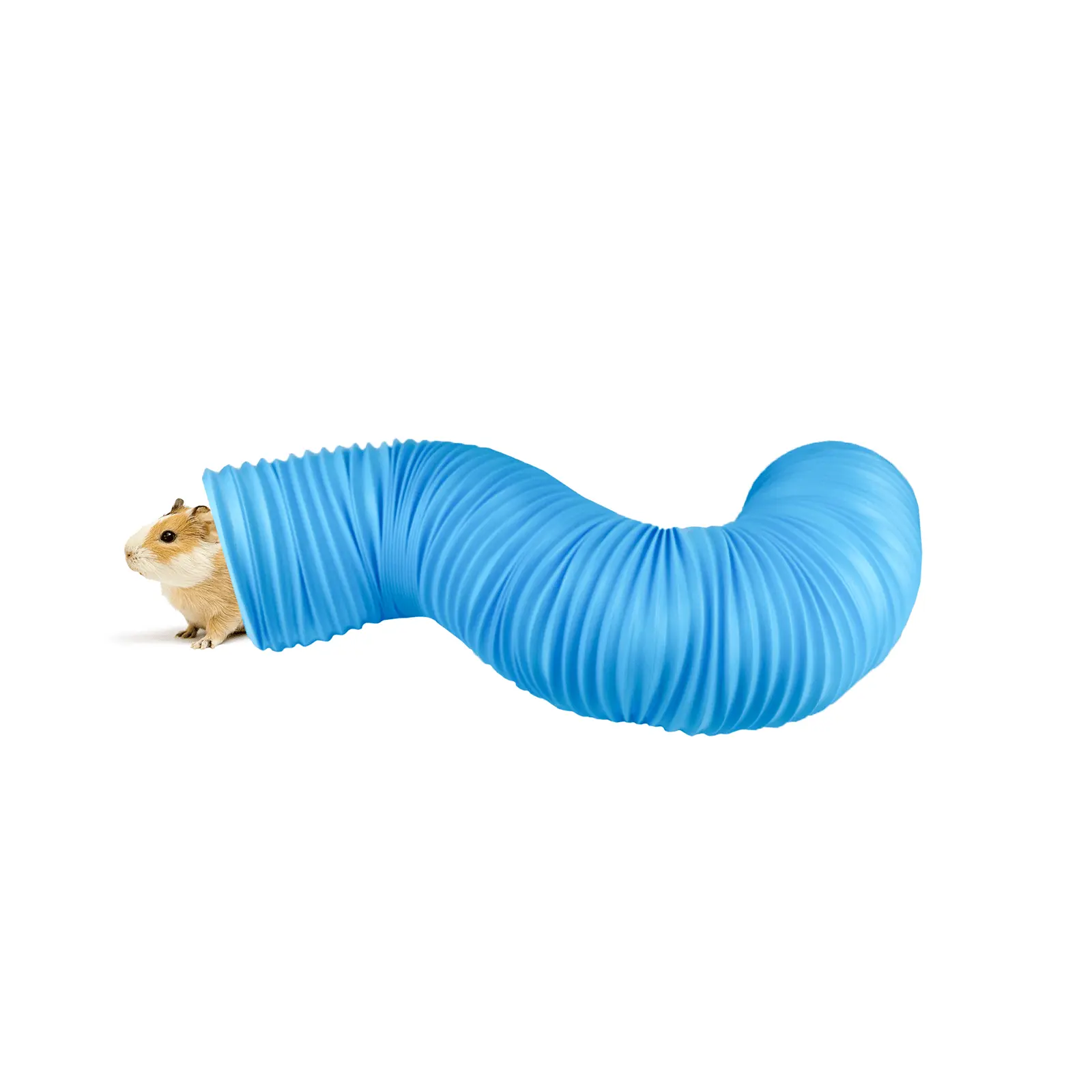 Pipsqueak Tunnel for Small Animals - Image 2